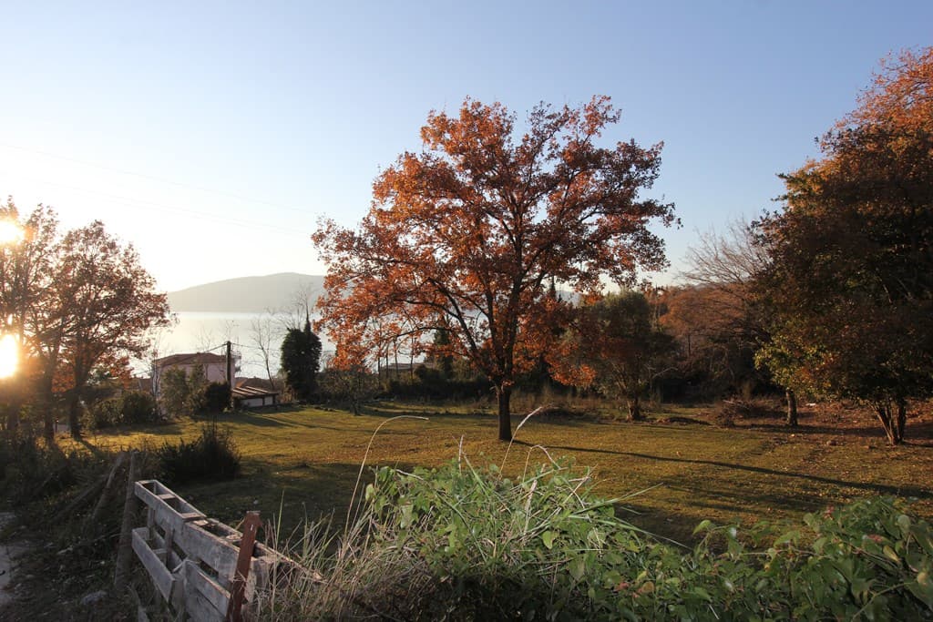 Plot in Kumbor