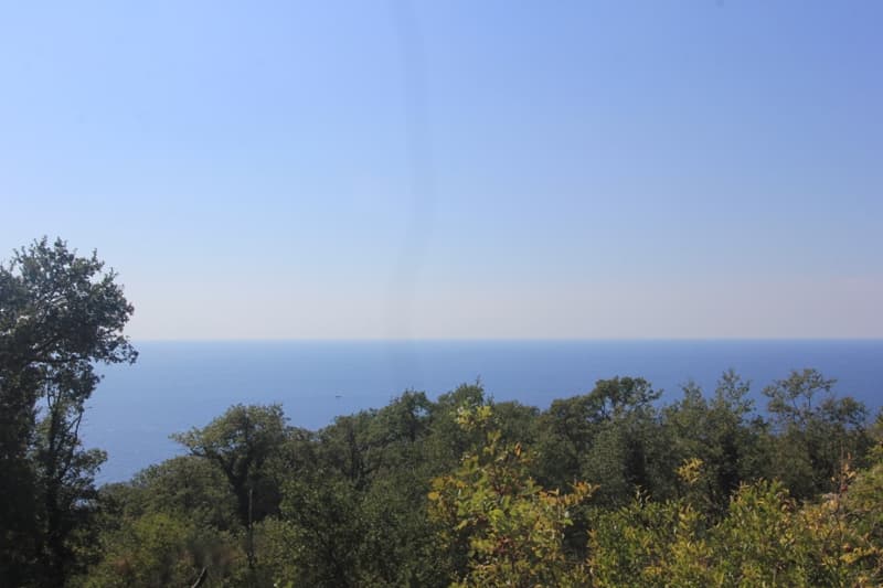 Land in Rezevici
