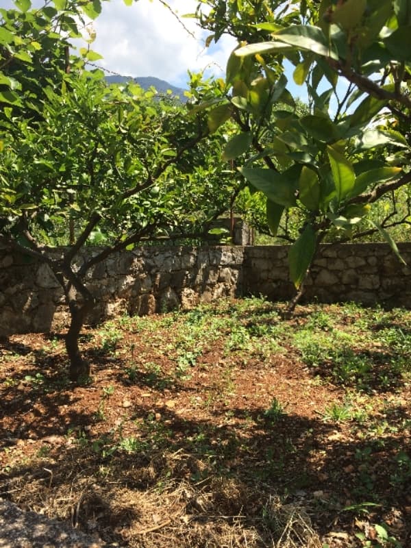 Plot with small house in Dobre Vode