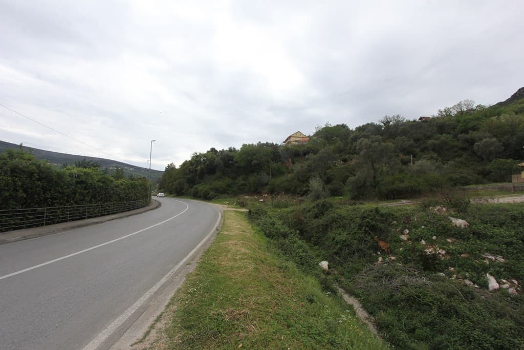 Plot in Djenovici